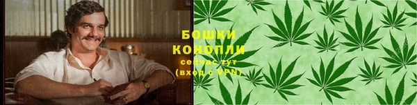 прущие крисы Кодинск