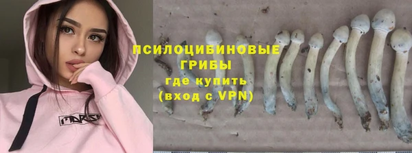 гидропоника Козловка